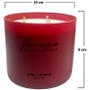 Αρωματικό Κερί Σόγιας Themagio Salty Caramel 600gr 1 Τεμάχιο